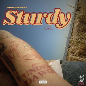 STURDY (Explicit)