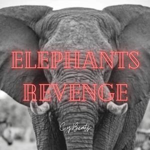 Elephants Revenge