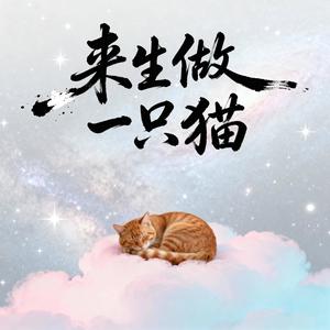 来生做一只猫