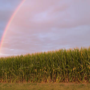 live life (Live|Explicit)