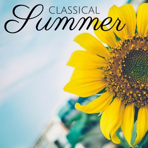 Flute Concerto in D Major, Op. 10 No. 3, RV 428 