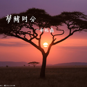 一路火花带闪电 (DJ版)