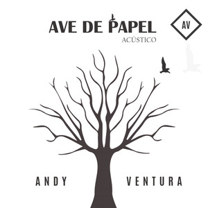 Ave de Papel (Acústico)