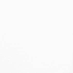 White Rappers Are Wiggers (Explicit)