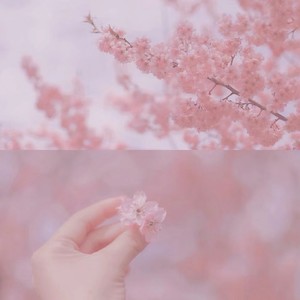 风的话