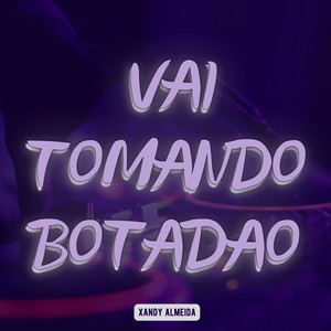 Vai Tomando Botadão (DutchMix) [Explicit]