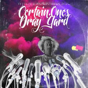 When I Rock Tha Mic (feat. The Wiz, Bobby Craves, Aztek the Barfly, Jimmi Da Grunt & Dzl) (Explicit)