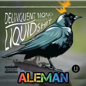 Rap Fnomeno ALEMAN (Explicit)