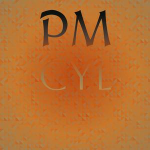 Pm Cyl