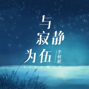 在流星消失前封面