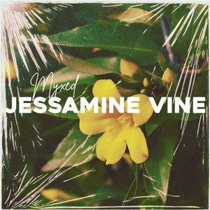 Jessamine Vine