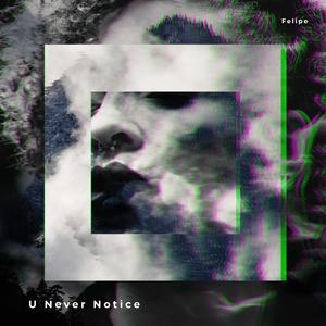 U Never Notice (Explicit)