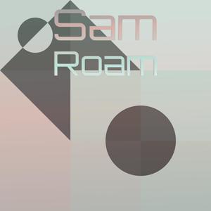 Sam Roam