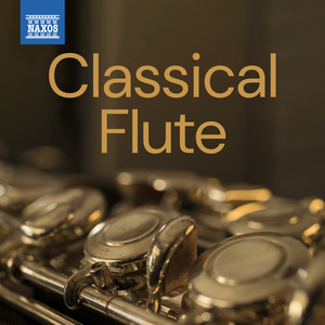 Concerto for 5 Flutes in E Minor, Op. 15, No. 6 - Concerto for 5 Flutes in E Minor, Op. 15, No. 6: II. Allegro
