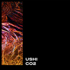 Co2