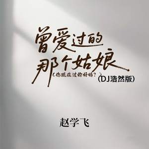 曾爱过的那个姑娘 (你现在过的好吗？) (DJ浩然版)