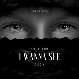 I Wanna See (Explicit)