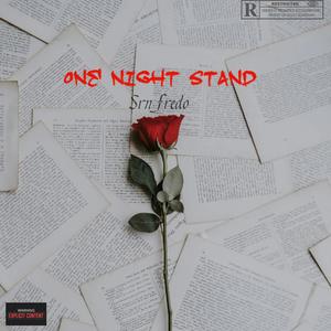 One night stand (Explicit)