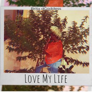 Love My Life (Explicit)