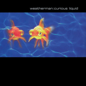 Gaelic for Beginners