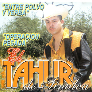 El Tahur de Sinaloa