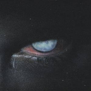 Antidote (feat. Kaydo & We$twood) (Explicit)