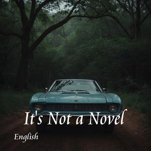 It's Not a Novel