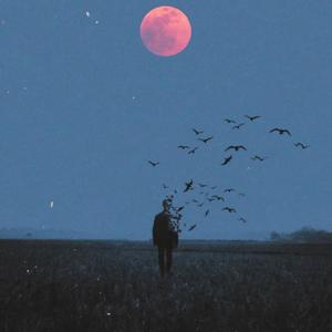 四季变换青春不止 (Live)