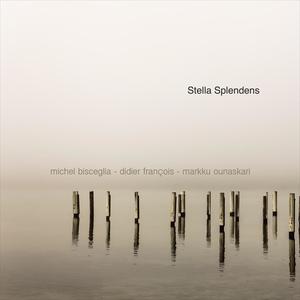 Stella Splendens