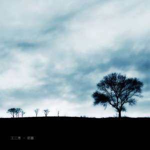 愿逐月华流照君