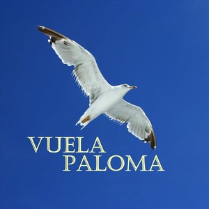 Vuela Paloma (feat. Anna)