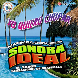 Yo Quiero Chupar - Single