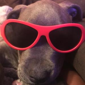 freestyle (Explicit)