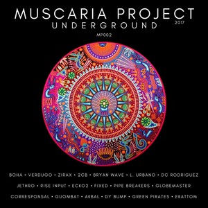 Muscaria Project Underground 2017