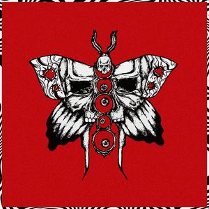 Stomach full of butterflies (Explicit)