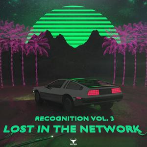Recognition Vol. 3: Lost In The Network