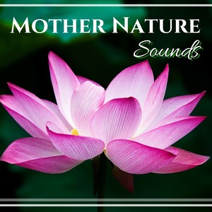 Mother Nature Sounds - Sea Waves Crashing & Ocean Ambience for Moments of Relaxation