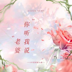 老婆你听我说（——188男团同人曲） (翻自 电击404)
