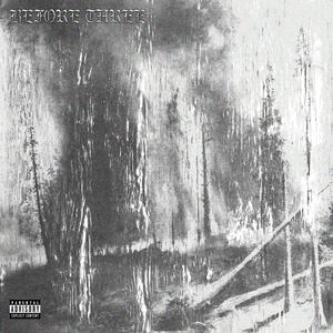 BEFORE THREE (feat. Echomania & Eric Castiglia) (Explicit)