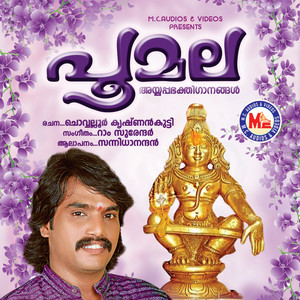 Swami Darsanam