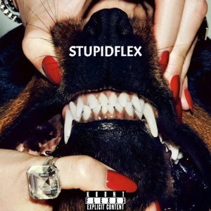 stupidflex (Explicit)