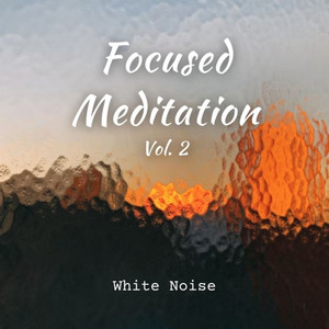 White Noise: Focused Meditation Vol. 2