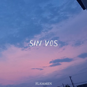 SIN VOS (Explicit)