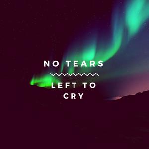 No Tears Left to Cry