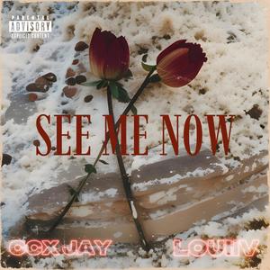 See Me Now (feat. LouiiV) [Explicit]