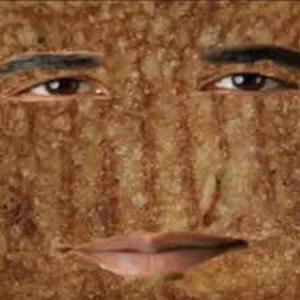 Grilled Cheese Obama Sandwich (Explicit)