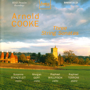 Sonata No. 2 for Violin and Piano: I. Allegro con brio