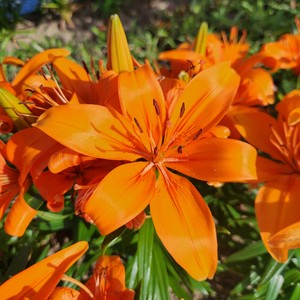 When the Light Awakens