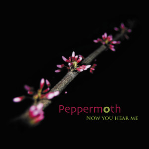 Peppermoth - Emerald Waters