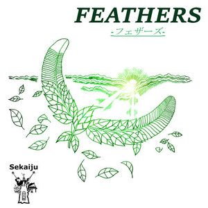 FEATHERS